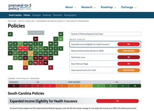 Prenatal-to-3 Policy